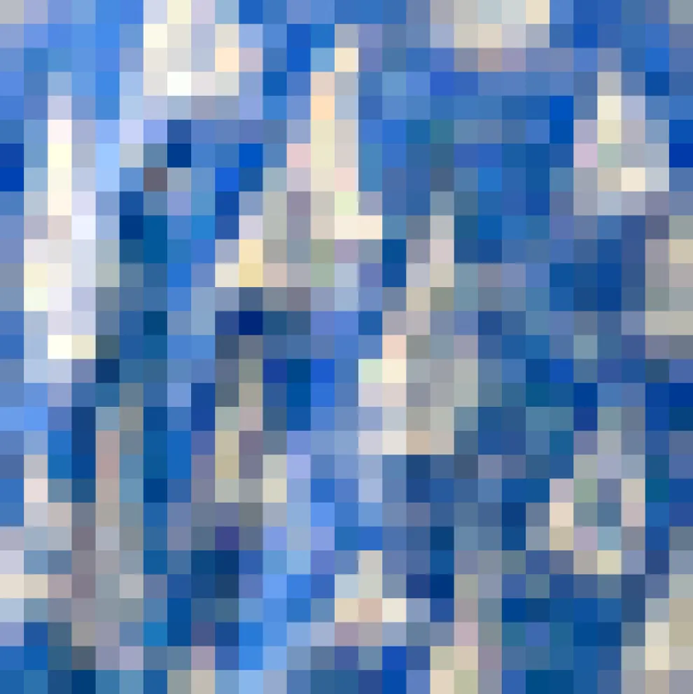 Romantic Rendezvous Skirt