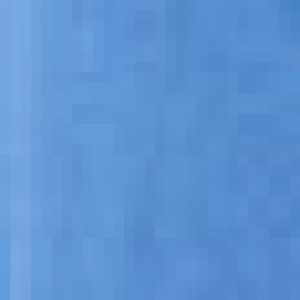 Romantic Rendezvous Skirt