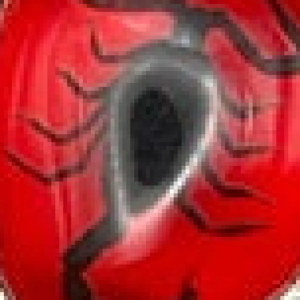 Scorpion Heart Pendant Necklace