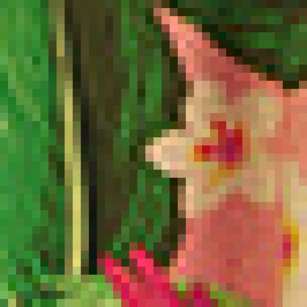 Skylight Silhouette Tank Top