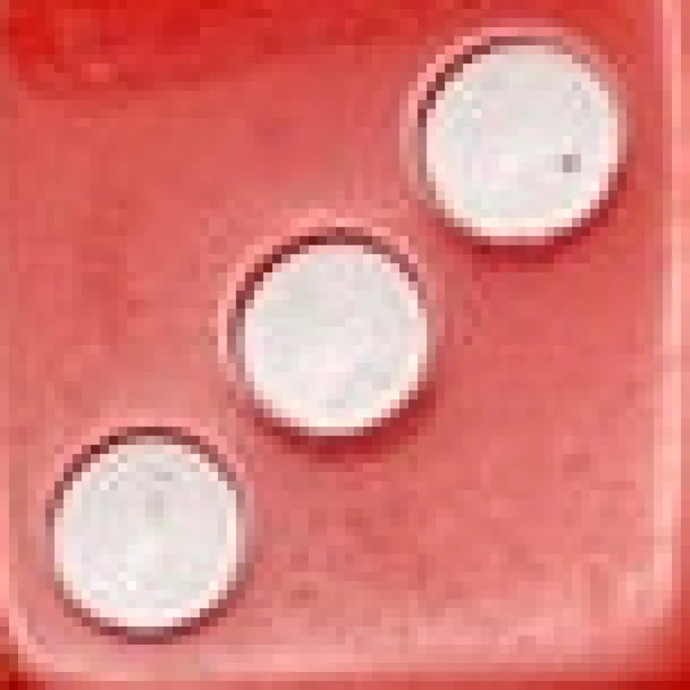 Sterling Silver Dice Hoop Earrings