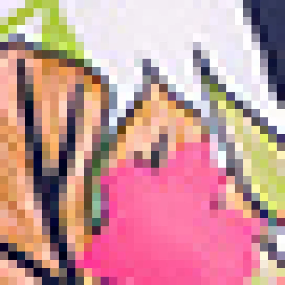 The Annika Crop Bikini Top