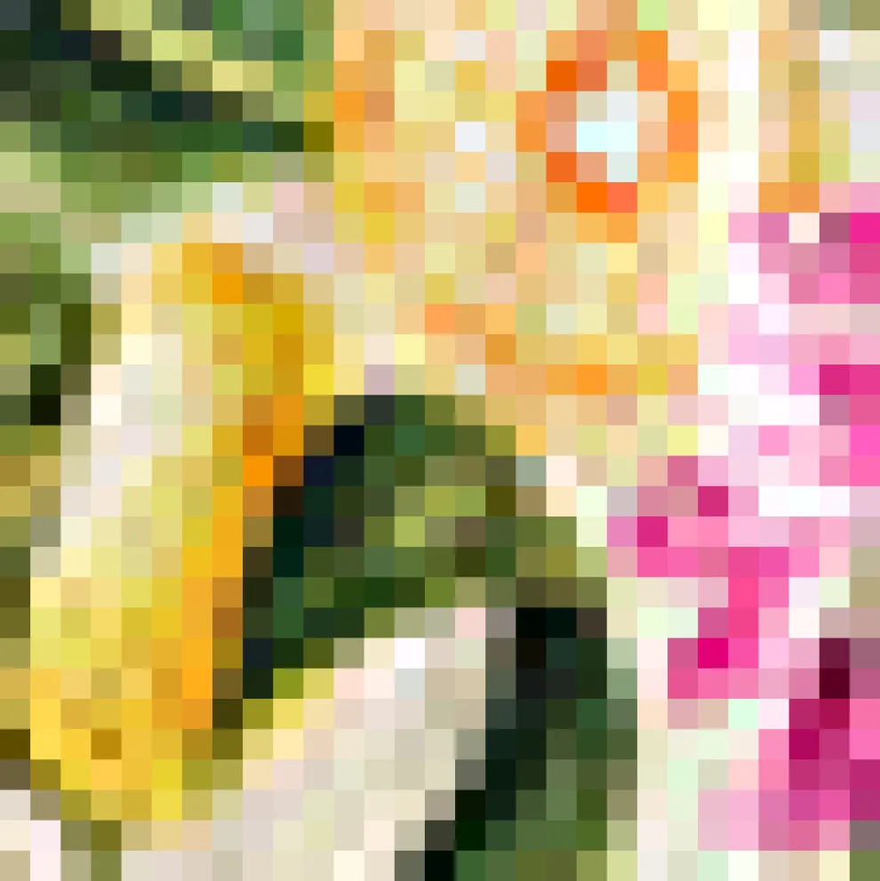 The Citrus Grove Getaway Dress