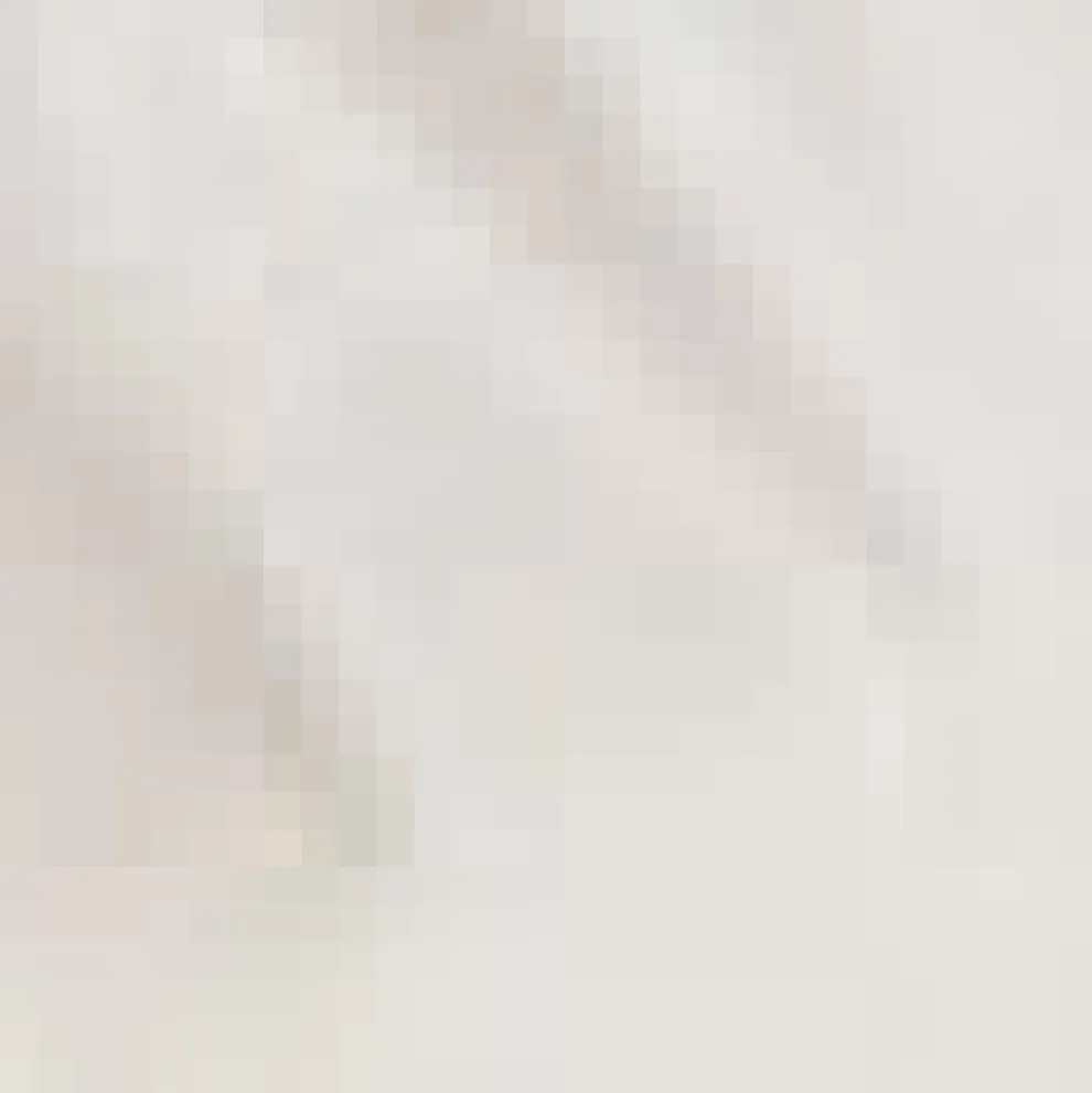 The Darling Detail Bow Tee