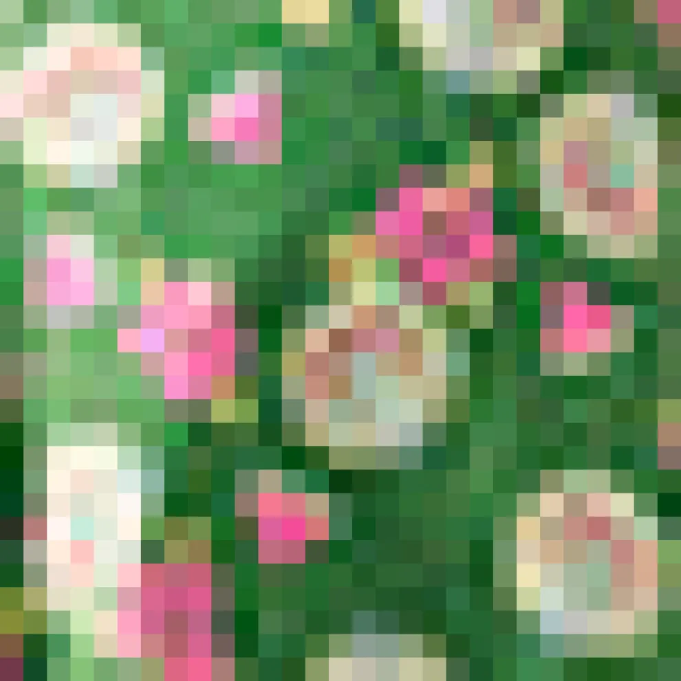 The Ruby June Scholarly Dress