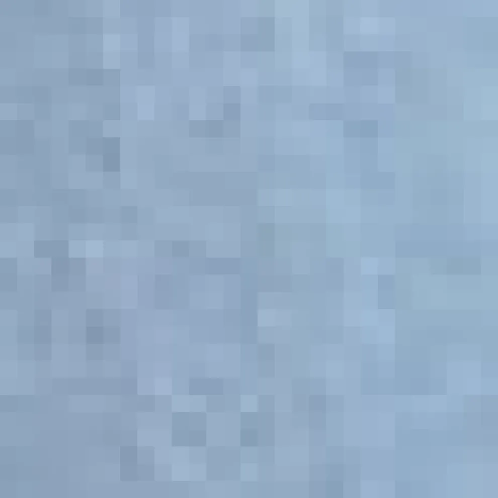 The Sunday Stroll Shorts