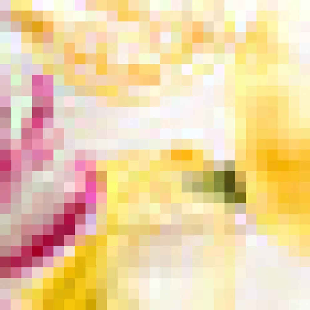 The Zest Is Yet to Come Top