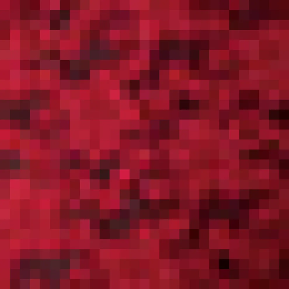 Timeless Twilight Era Long Sleeve Top