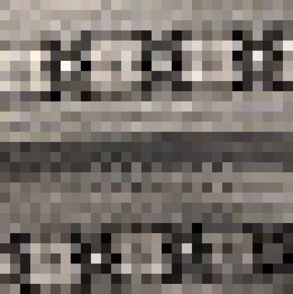 Transitional Timepiece Contrast Collar Shift Dress