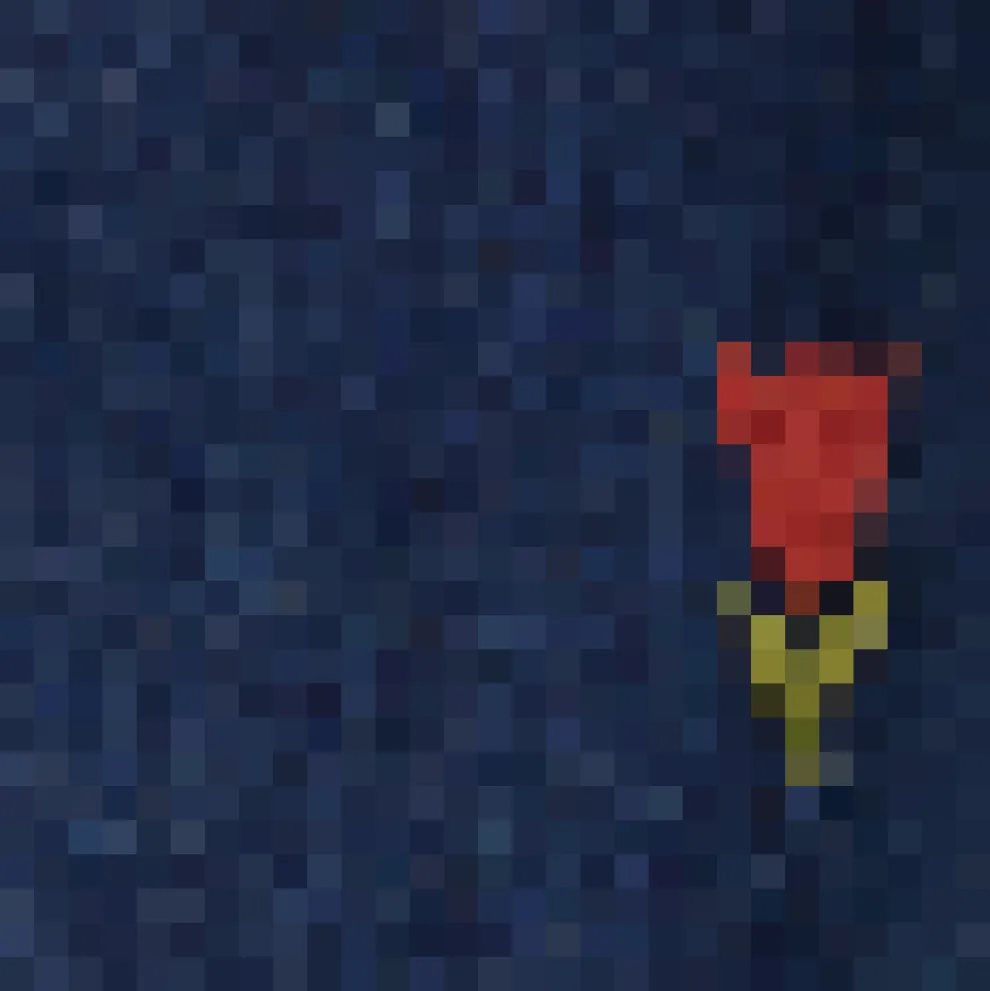 Tulip Embroidered Jean