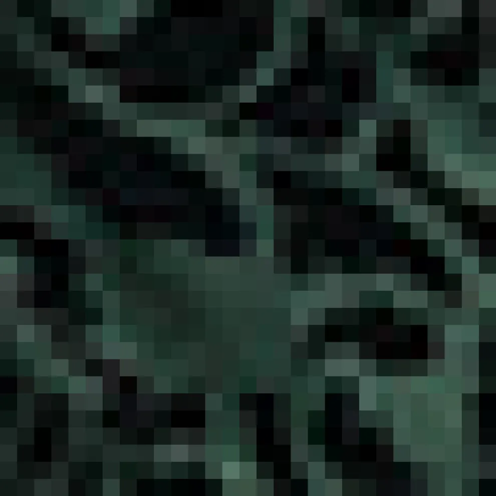 Vintage Vagabond V-Neck Top