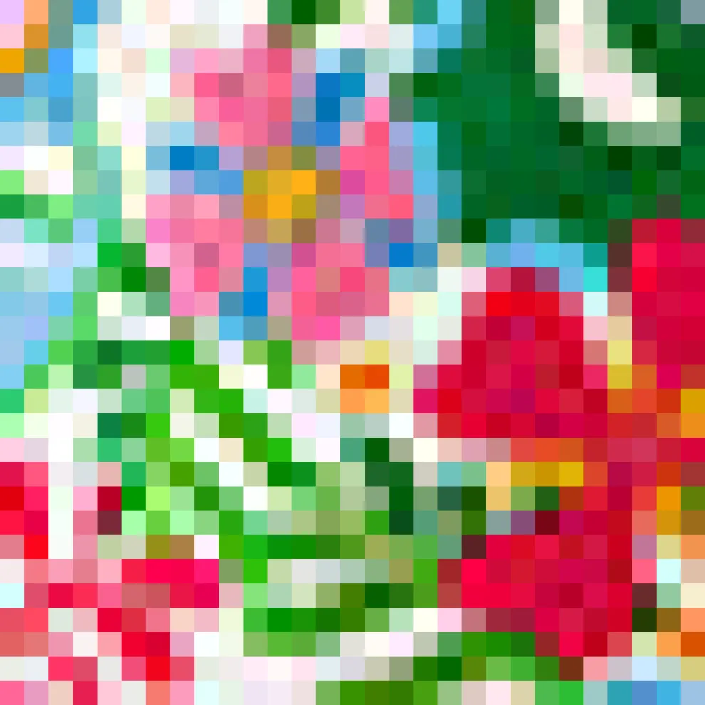 Vintage Voyage Shorts