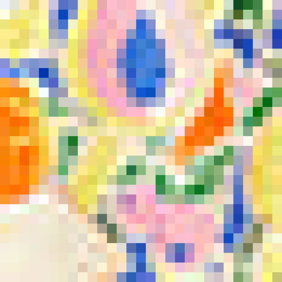 Vintage Voyage Shorts