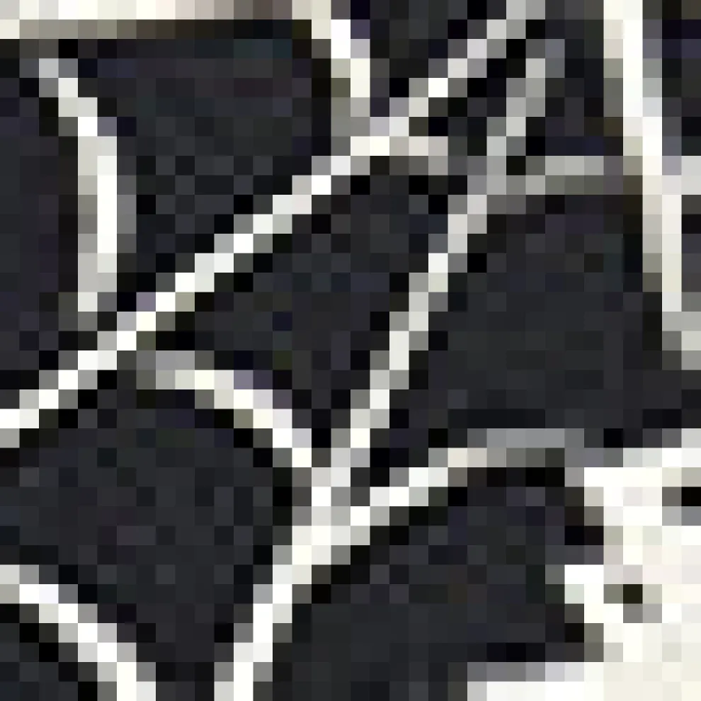 Web And Flow Button-Up Blouse