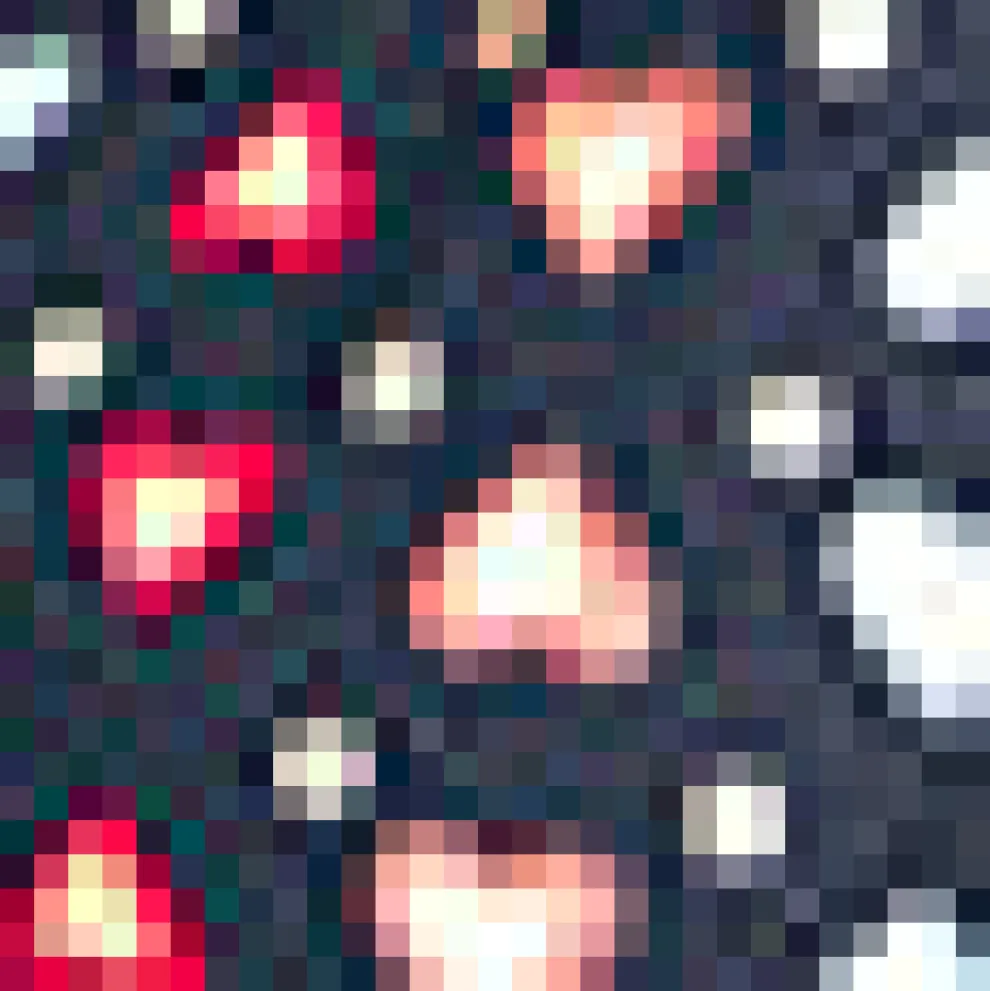 Whimsical Wanderlust Shirt Dress