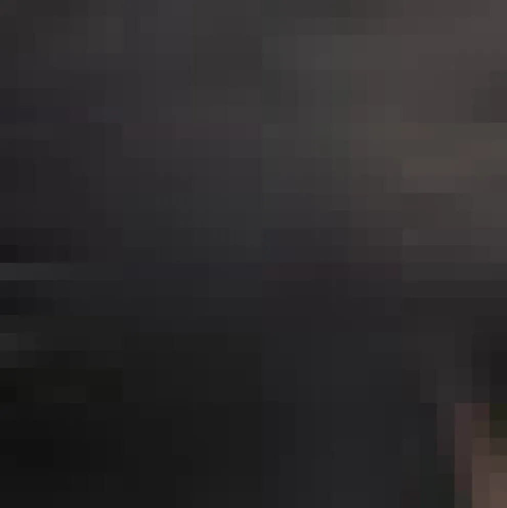 Written in the Stars Collar Shirt